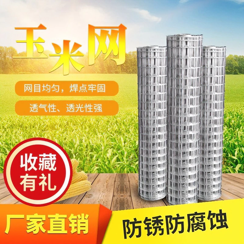 圈玉米网镀锌铁丝网围栏养殖网钢丝加粗电焊网拦鸡超硬护栏防护网