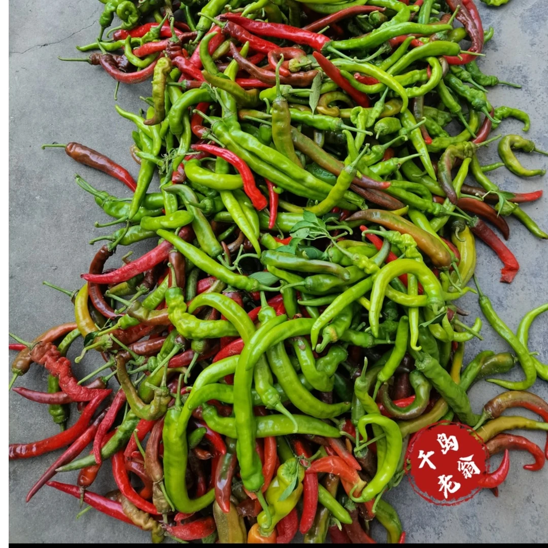 【村花小平老翁农品】自然生态蔬菜高山土辣椒现摘青红辣椒2斤-3斤