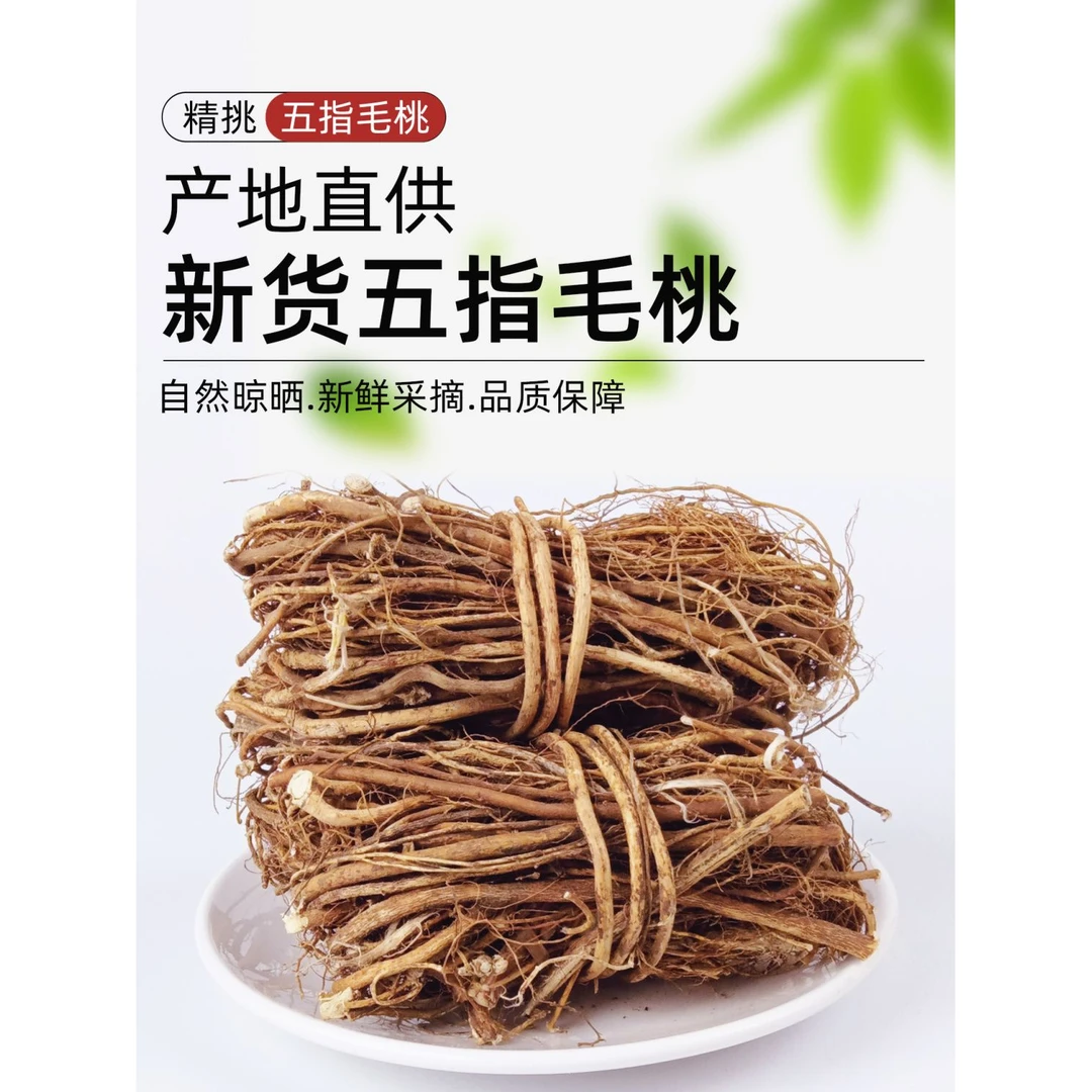 广东河源采摘牛奶五指毛桃根正宗原生态深山五爪七指毛桃牛奶根