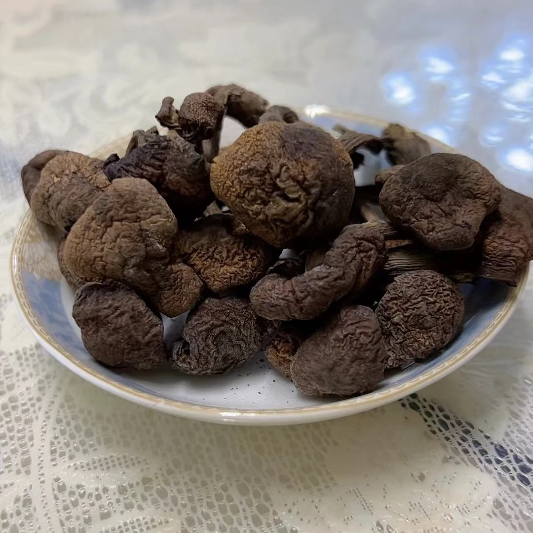 东北野生榛蘑干货无杂自然晾晒2024新货