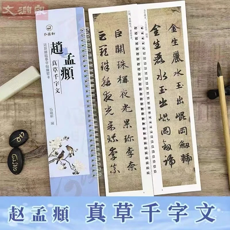 赵孟頫真草千字文 近距离临摹字帖练字卡