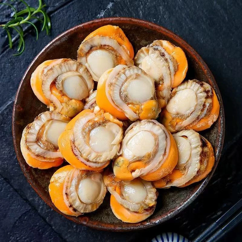 【吃好点，找老黄】新鲜无冰冷冻扇贝肉和鱿鱼须新鲜扇贝柱天海