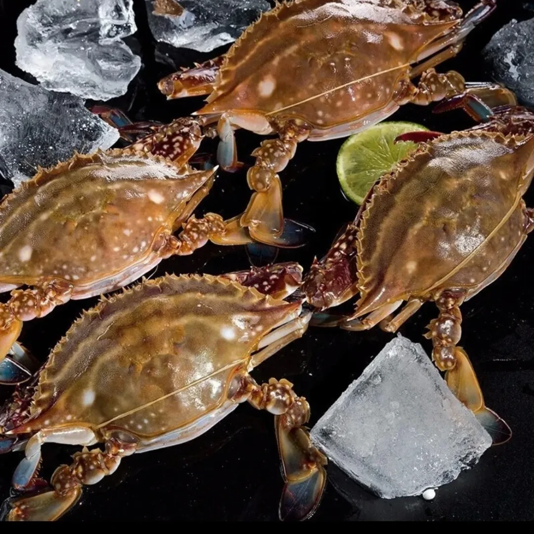 【保鲜不保活】西北老黄新鲜海捕饱满梭子蟹2斤4只(5两/只)方欣直发