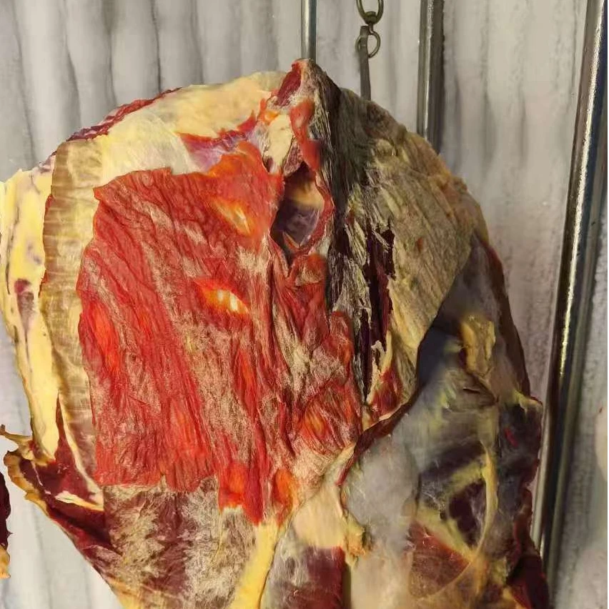 【青海扎西专属】喀央农牧高原生态养殖散养牛排5斤