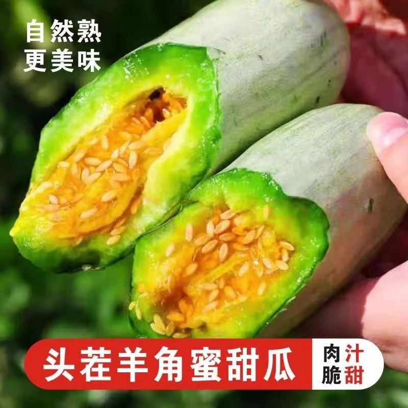 【超甜】羊角蜜美味甜瓜水果新鲜孕妇应季水果甜瓜香瓜脆瓜蜜瓜甜