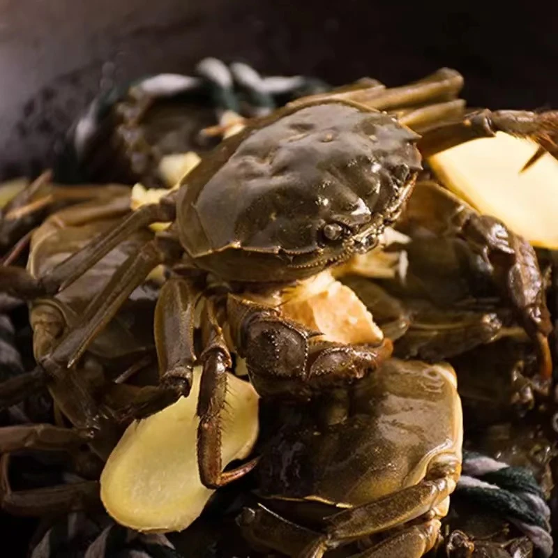 （鲜活）六月黄大闸蟹12.8一个（约1.9两—2.1两）