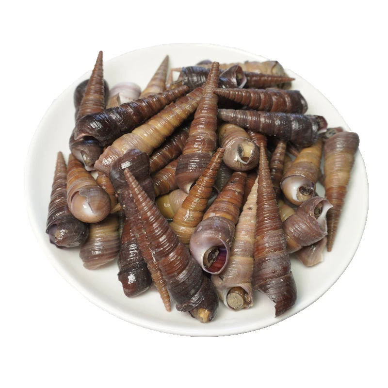 钉螺（鲜活）500g