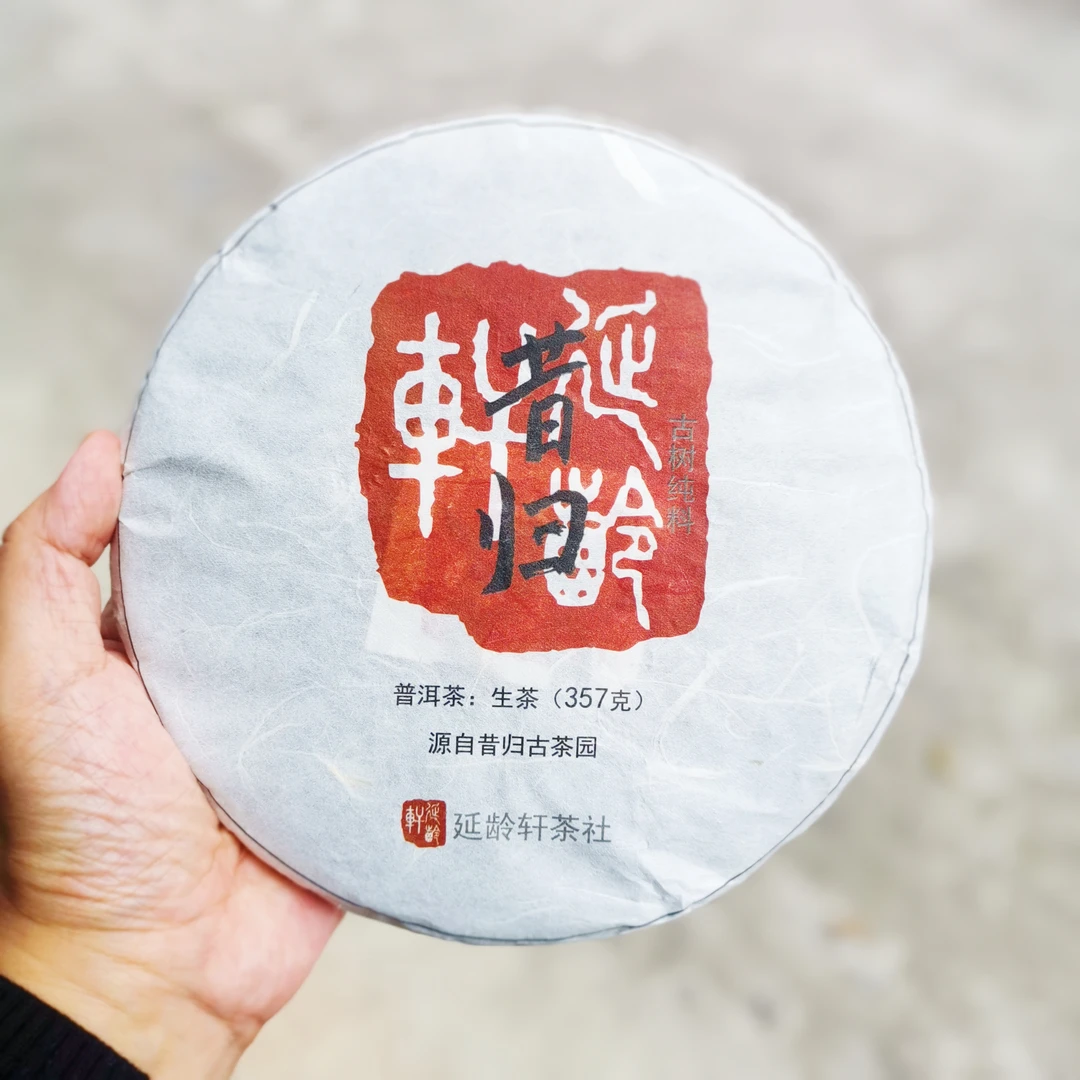 2020昔归头春古树生普洱茶/木质兰香/真产区真原料带茶样免费试喝