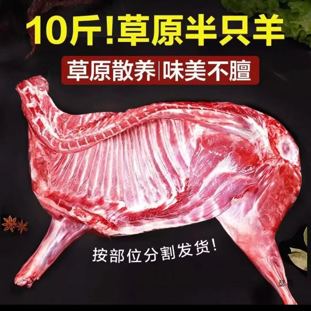 10斤重半只羊草原 散养羊羔新鲜原切羊排羊蝎子羊腿切块羊肉新鲜