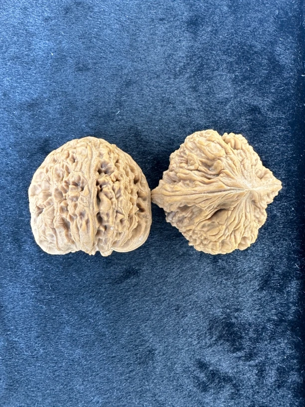 逐鹿南将石，精配无修