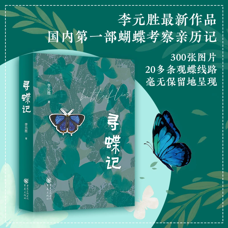 寻蝶记 诗意的生态随笔珍贵的300多张蝴蝶照片20多条观蝶徒步之旅