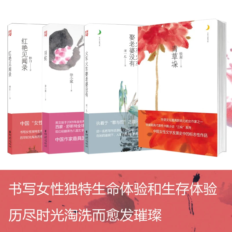 女性主义文学小说书籍 中国文学标志作品铁凝 林白 须一瓜 徐小斌