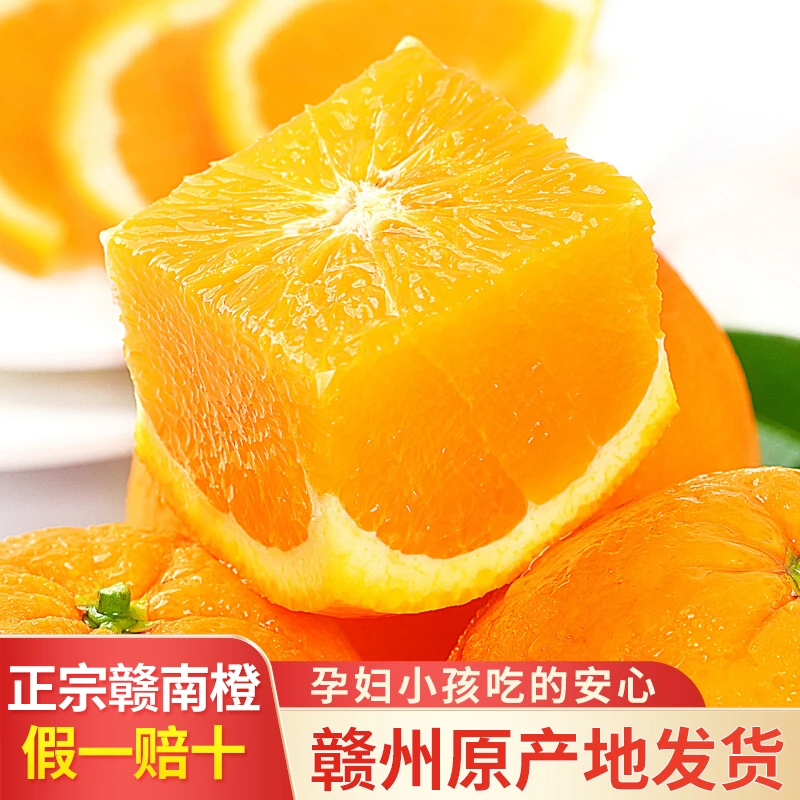 赣南脐橙新鲜采摘橙子自然水果农家种植香甜橙味充足果园现摘现发