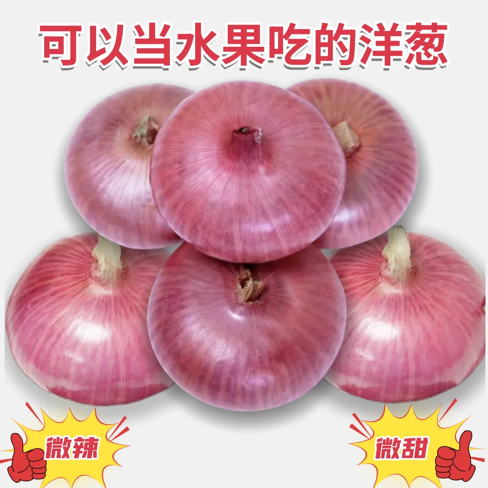 正宗山东水果洋葱5斤装/新鲜紫皮洋葱香辣清脆葱香味浓郁农家直发