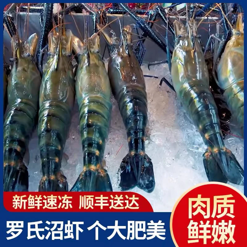 冷冻特大罗氏虾大头虾一盒2斤4-6只一斤顺丰包邮