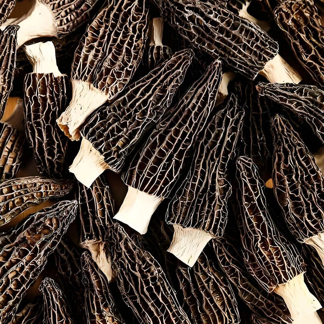 【精品头茬】羊肚菌干货7-10厘米 肉质肥厚 煲汤佳品 甄选农家特产