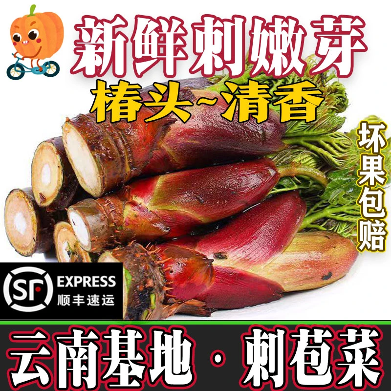 云南刺嫩芽新鲜红皮刺龙芽树头菜刺头菜顺丰包邮