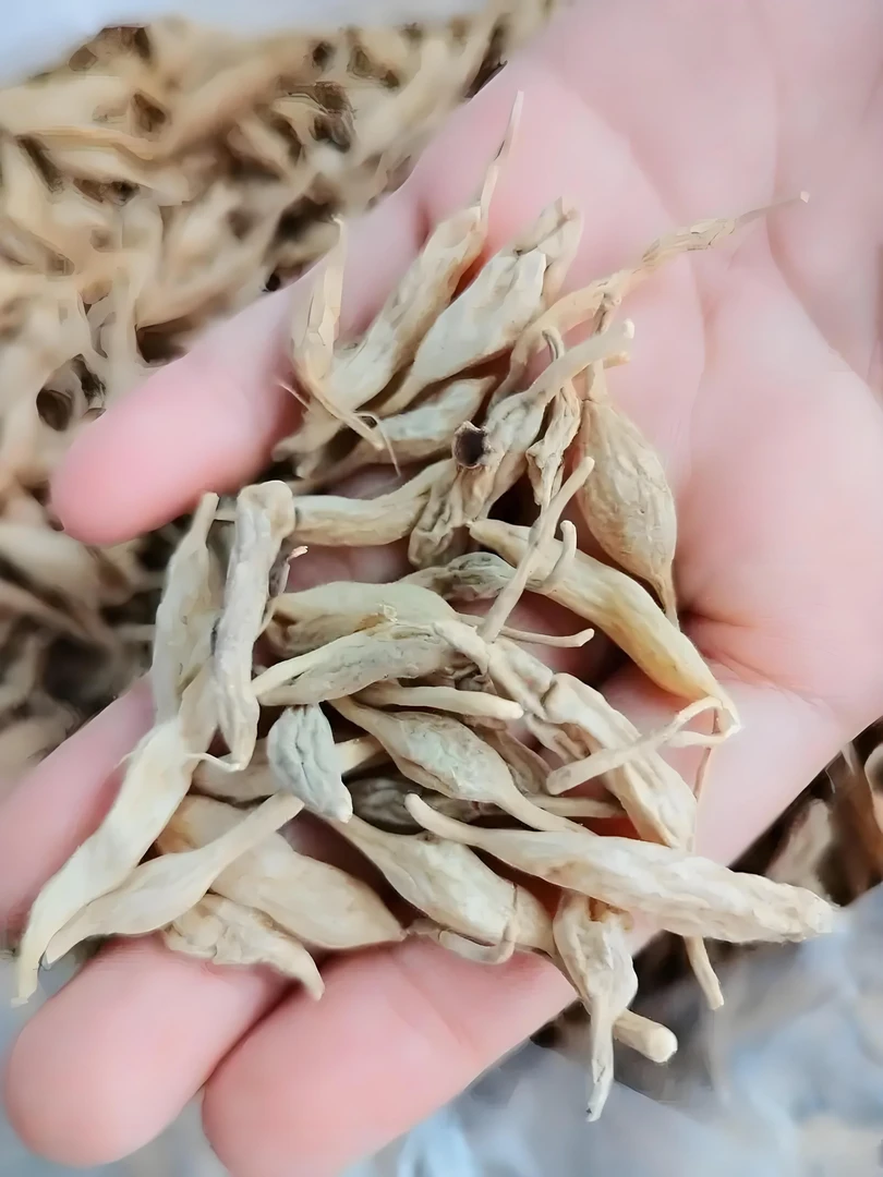 【云南优质白/马/冬】净含量1g----4000g