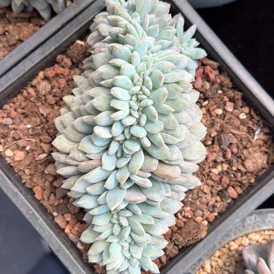 ，哈哈哈哈哈哈哈哈哈