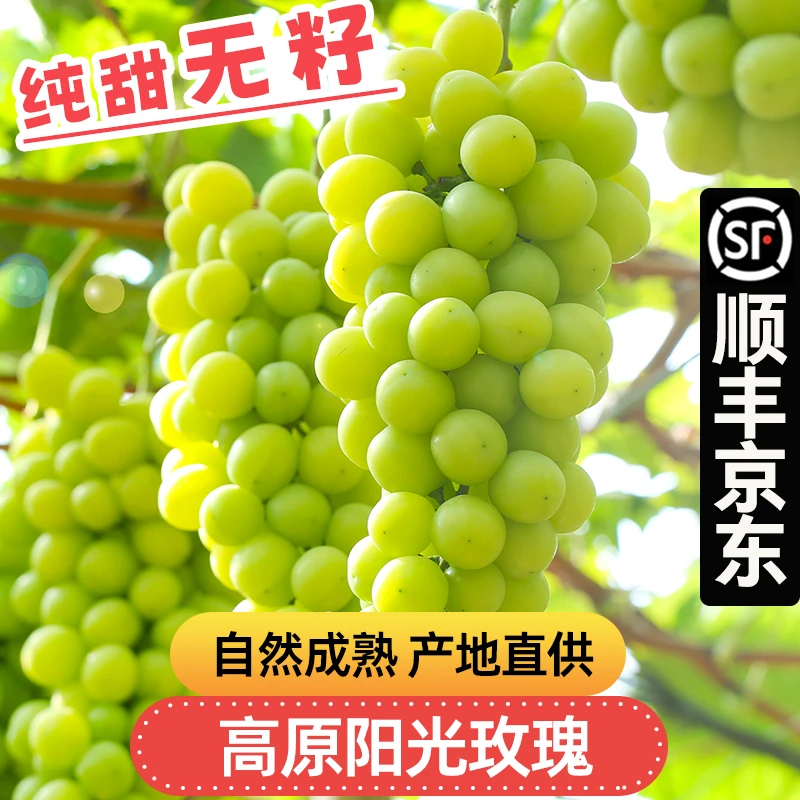 【5斤更划算】阳光玫瑰葡萄顺丰京东森觅源DS晴王青提新鲜应季水果