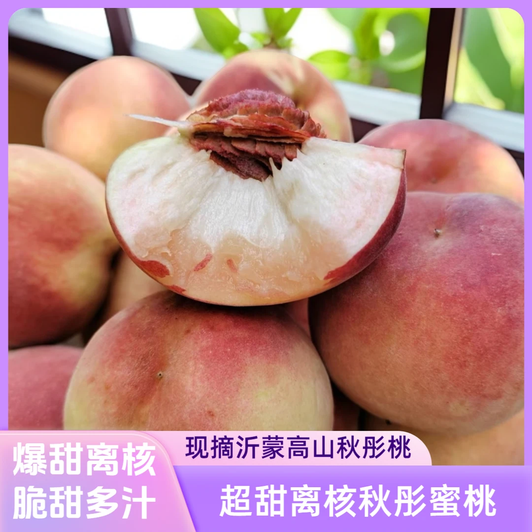 秋彤桃沂蒙高山果园离核爆甜秋桃晚熟树上现摘新鲜水蜜桃头茬精选