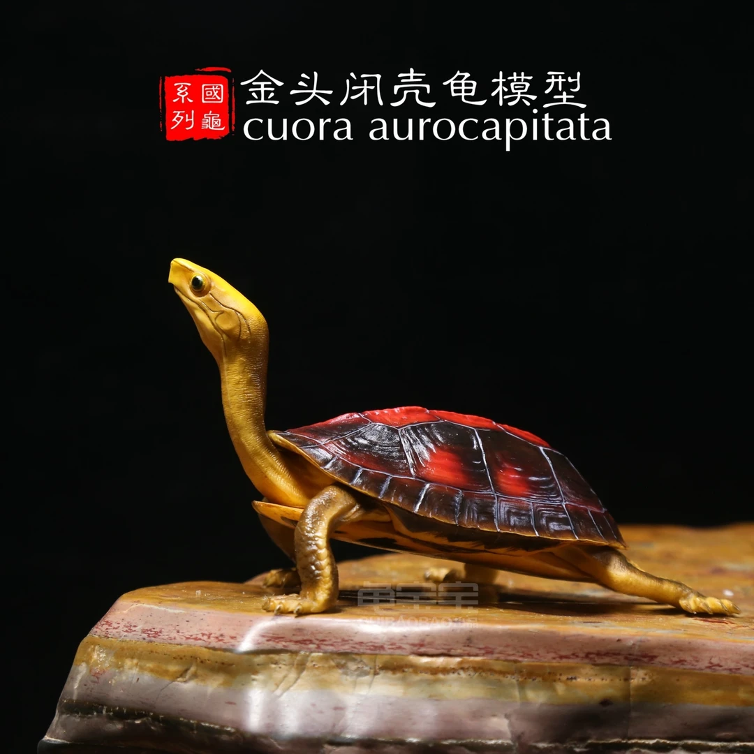 金色灵龟金头闭壳龟模型仿真招财吉祥物宠物摆件宠物玩具