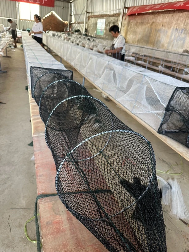 15米25高36宽尾巴加厚六股6毫米网眼网身4毫米网眼39节28进口虾笼