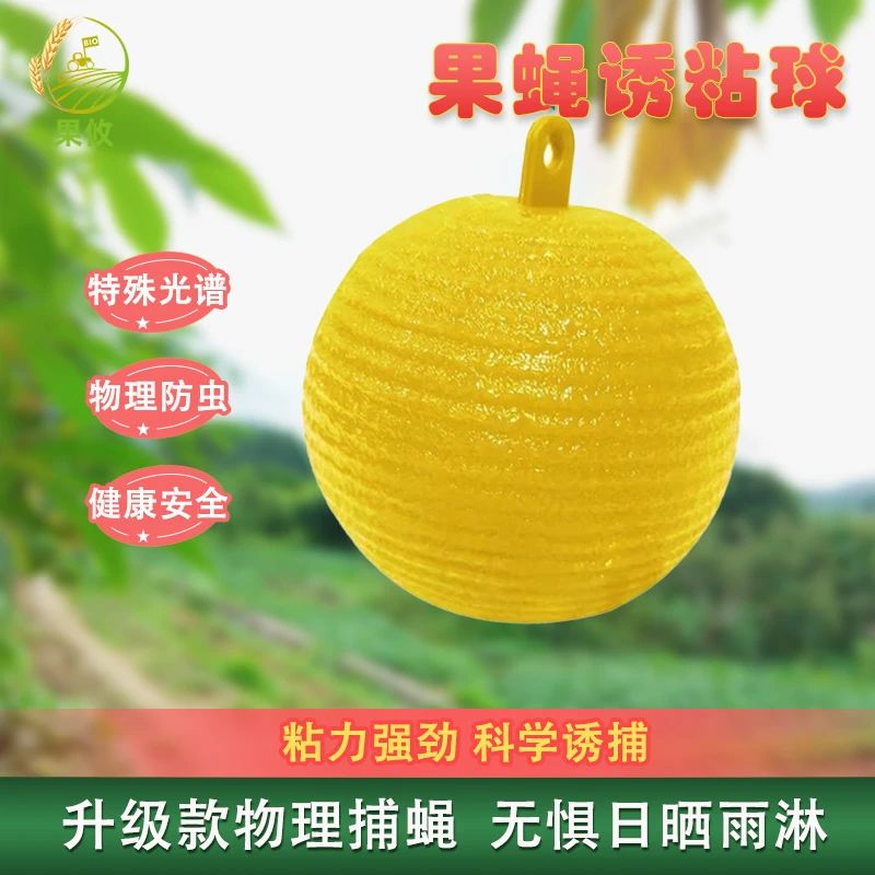 诱蝇球果蝇诱捕器粘虫黄球果实蝇诱粘柑橘果树圆形生态物理诱粘球