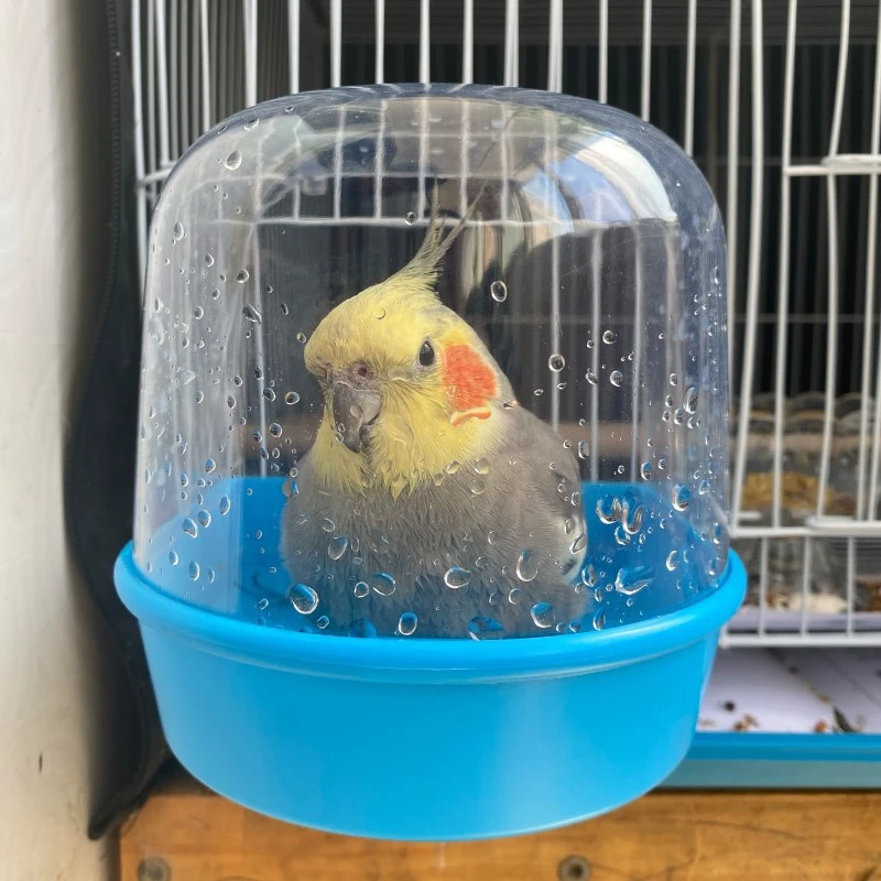 玄凤鹦鹉洗澡盆鸟洗澡器鹦鹉小鸟沐浴用品虎皮牡丹八哥洗澡盆盒子