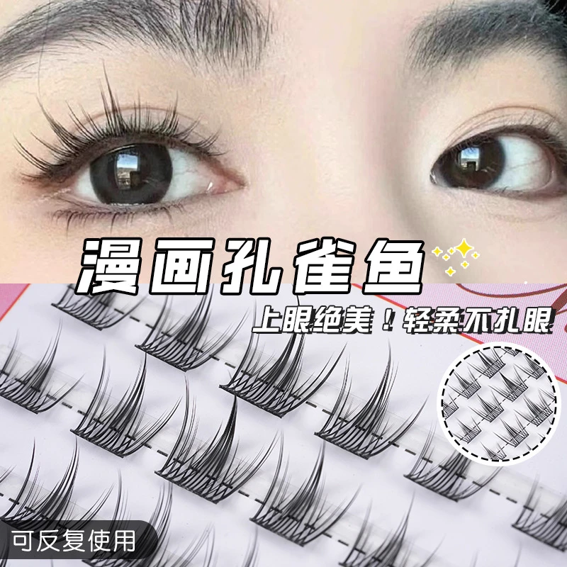 孔雀鱼假睫毛懒人三部曲假睫毛自然新手网红上镜孔雀鱼睫毛假睫毛