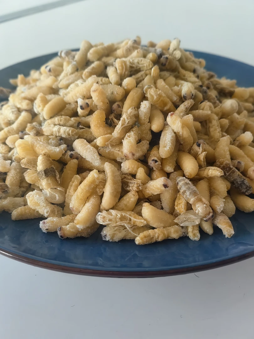 蜂蛹树蜂蛹一级二级活体冷冻新鲜冷冻发货