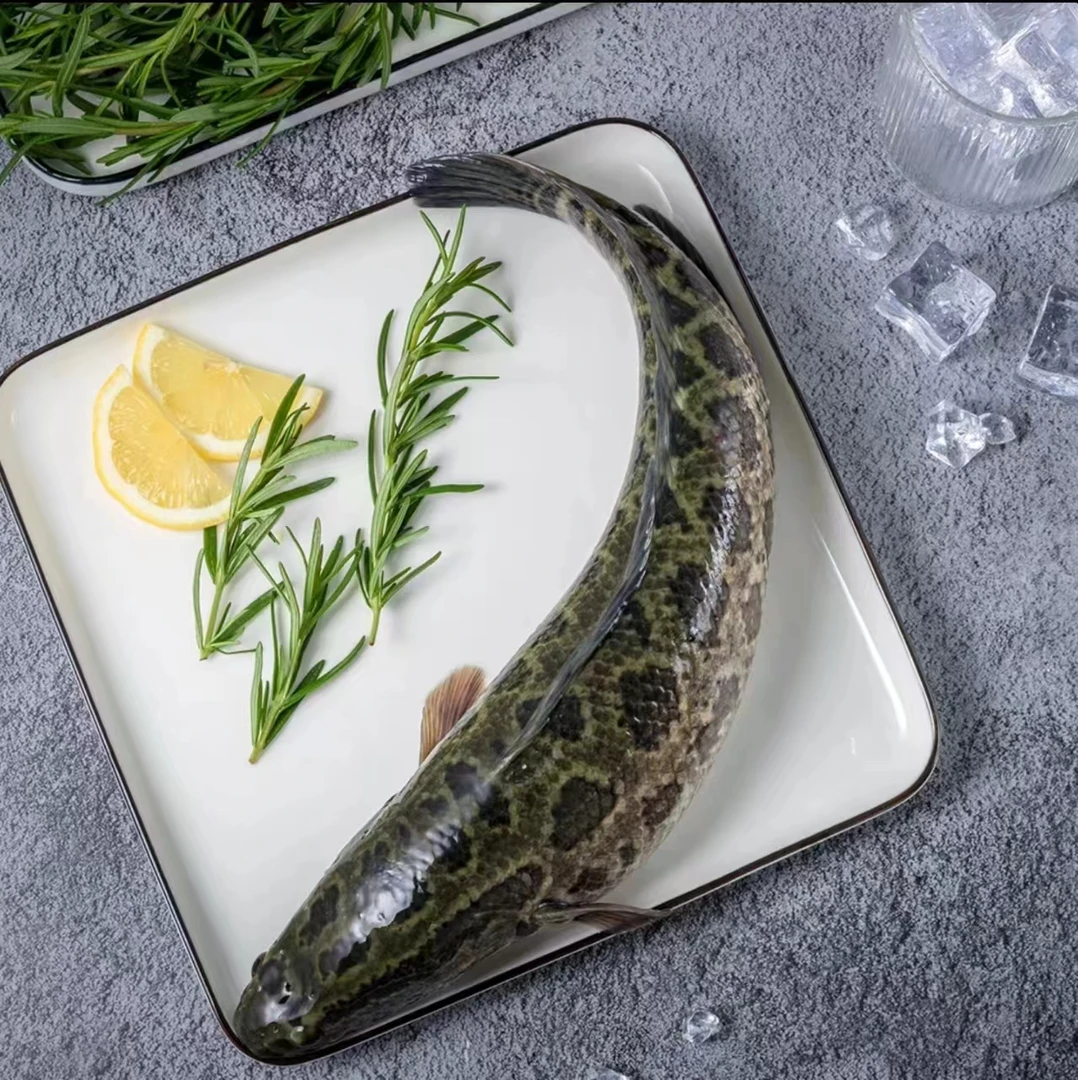 黑鱼-1条（550g-650g）