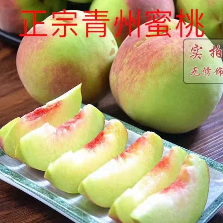 正宗青州蜜桃脆甜离核精品毛桃应季水果新鲜多汁桃子3斤-5斤箱