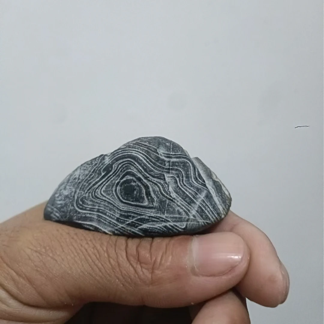 灵璧石天然摆件象形贡石庭院石