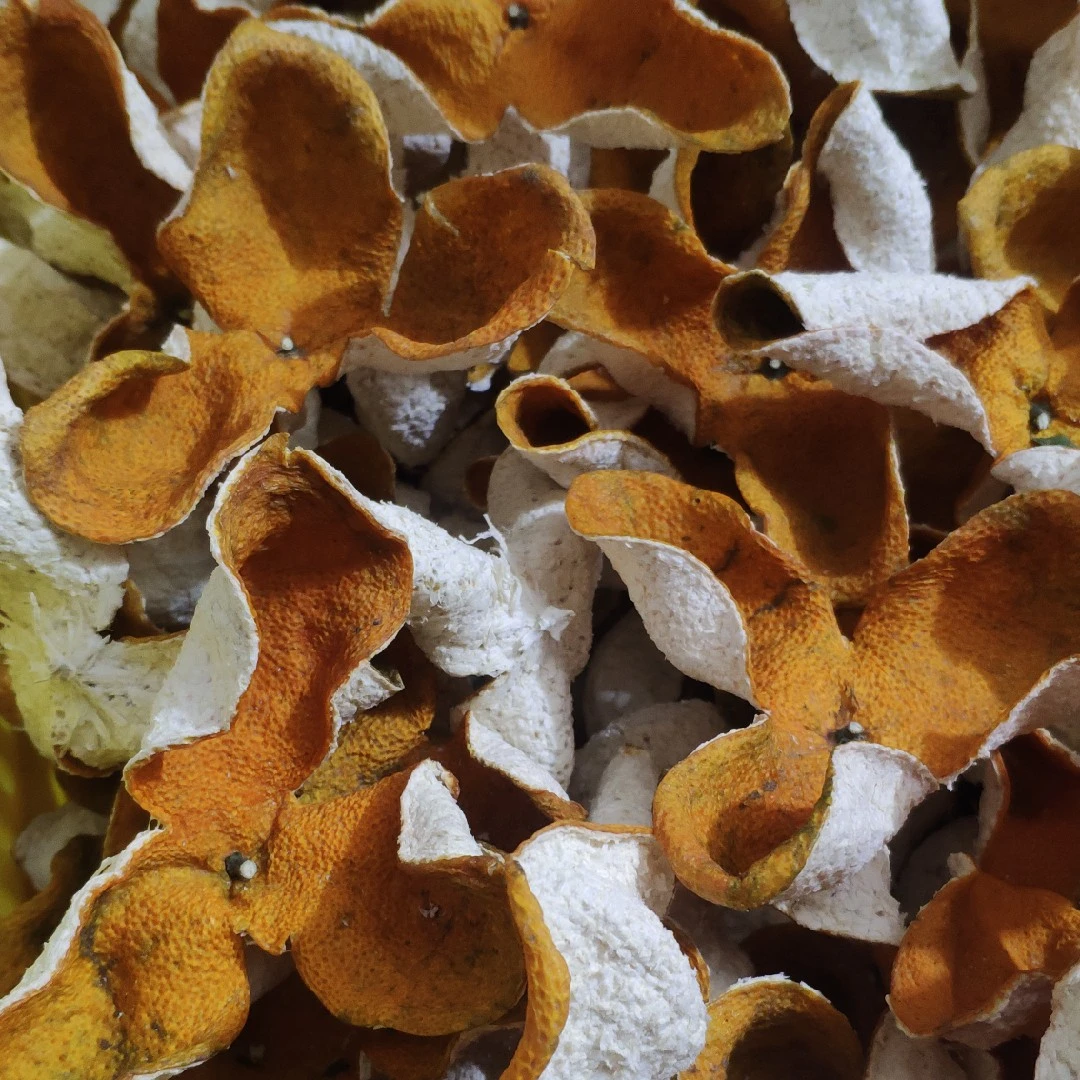 梅江圈枝2024新会陈皮大红皮批发零售【买二送一】