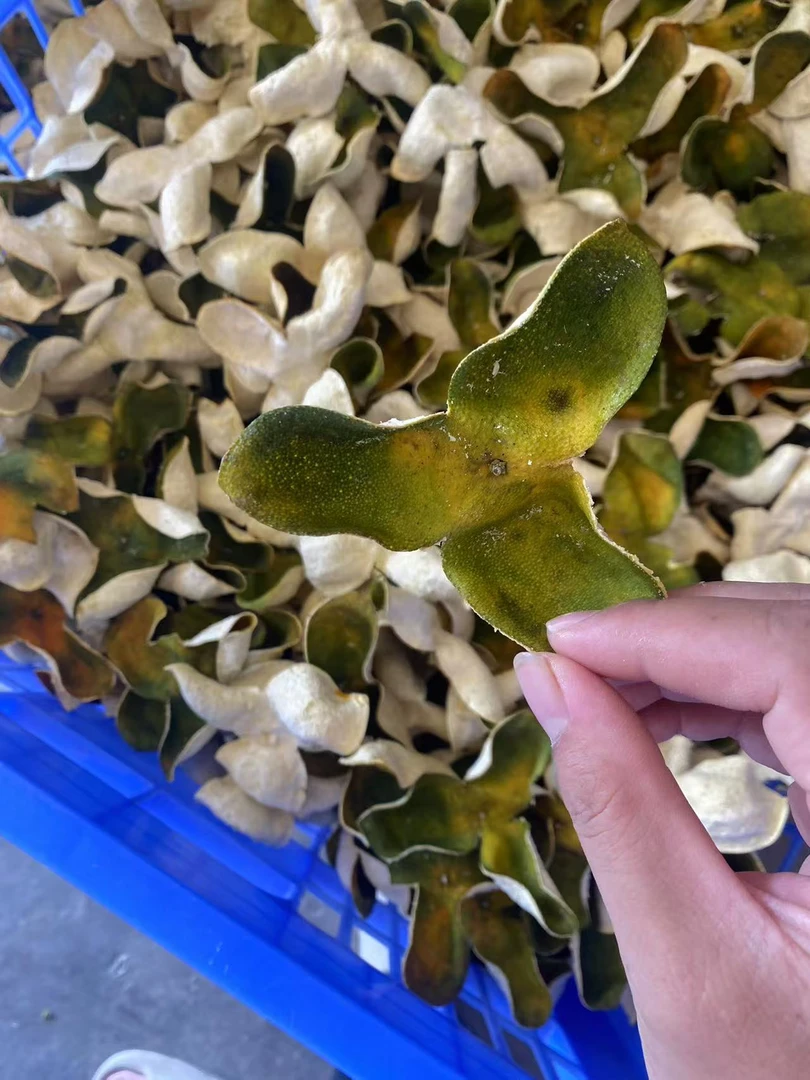 2024天马圈枝新会陈皮二红皮批发零售【买二送一】