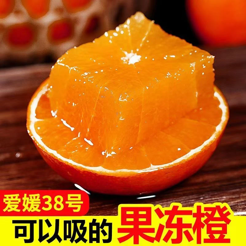 MMZ正宗四川38号爱媛果冻橙单果70mm+带箱5斤到手8-15个坏果包赔