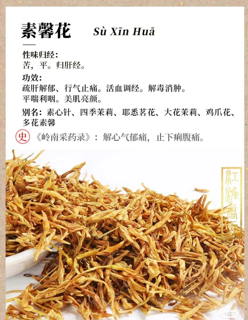 素馨花耐寒耐热耐涝