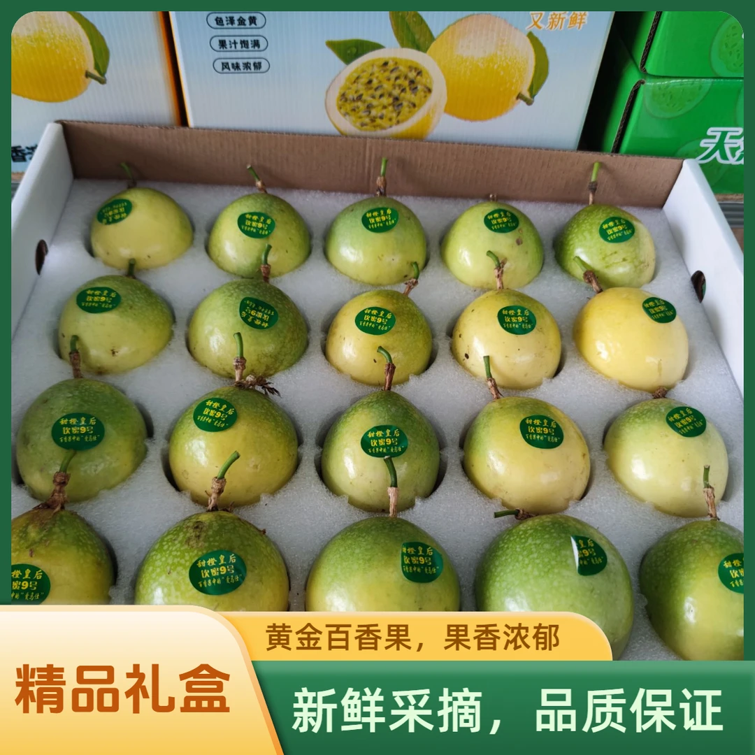 【果王礼盒装】钦蜜九号黄金百香果20个果王 中秋好礼顺丰包邮