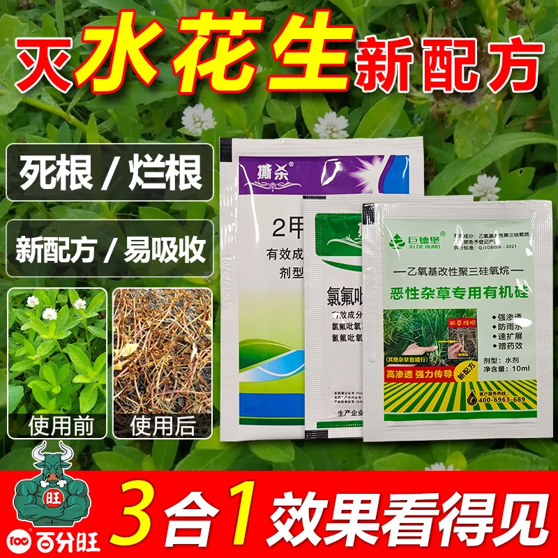 水花生净烂根剂专杀革命草打空心莲子草克星连根烂专用除草剂农药
