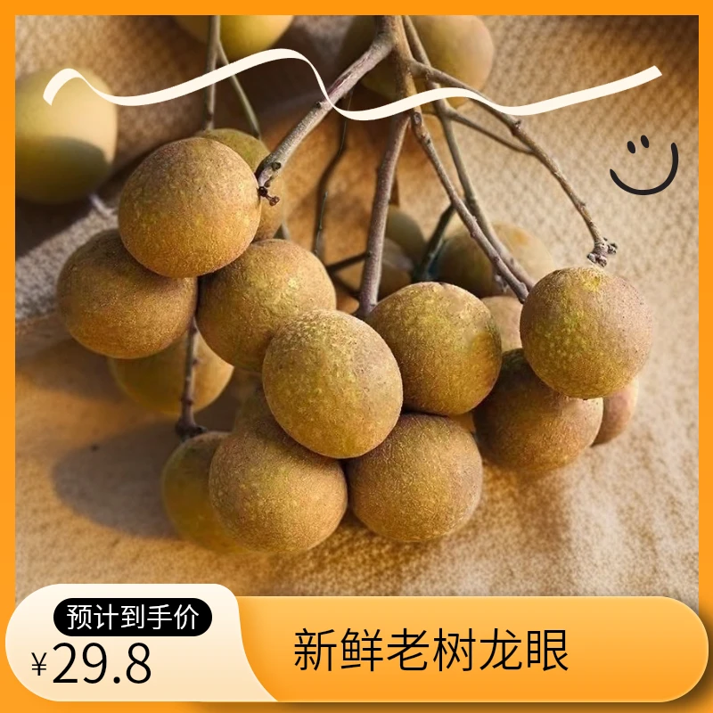 泸州新鲜桂圆龙眼3斤/5斤新鲜当季水果现摘蜀冠包邮正宗精选包赔