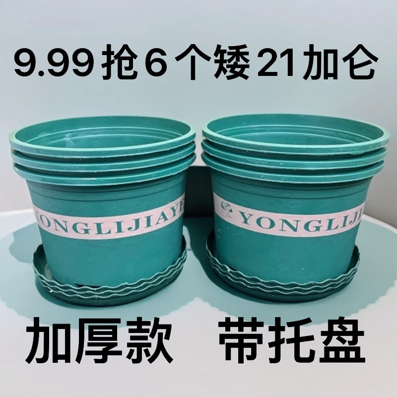 6个【口径21高15左右】矮21加仑花盆带托盘