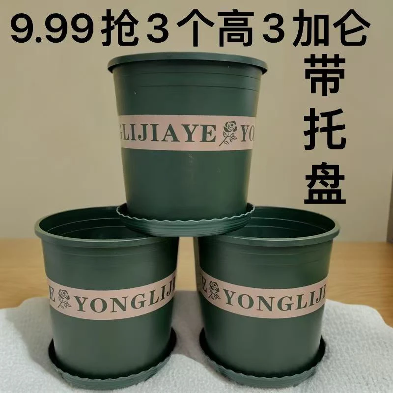 3个【口径23.5高23.5】高3加仑花盆带托盘