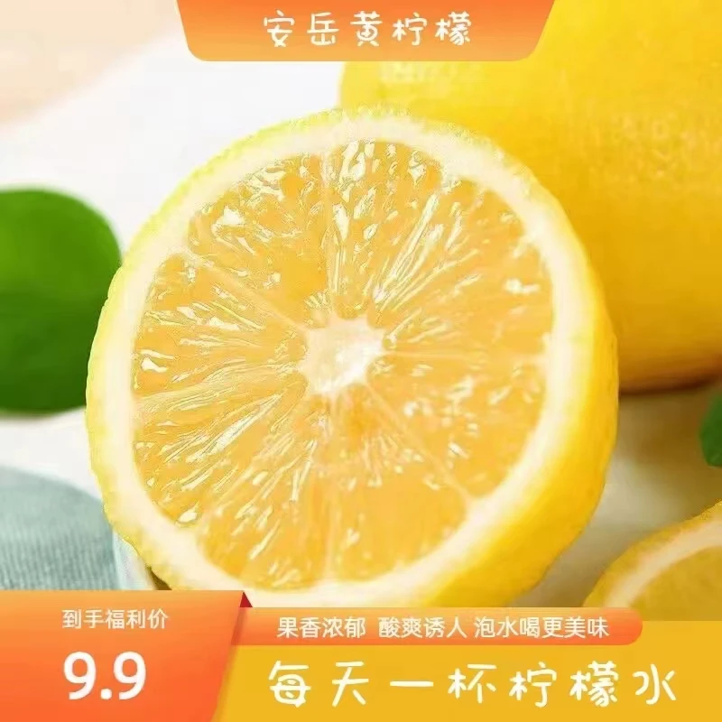 【9.9元五斤】安岳黄柠檬单果180g+新鲜采摘冲泡酸甜皮薄果园发货