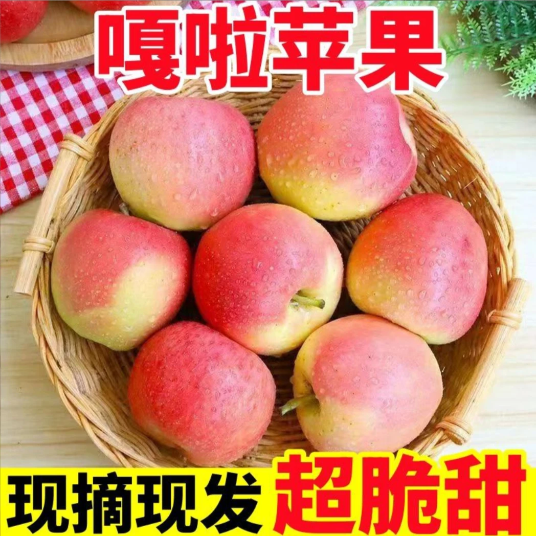现摘当季嘎啦苹果新鲜正宗水果脆甜多汁脆甜酸甜可口苹果