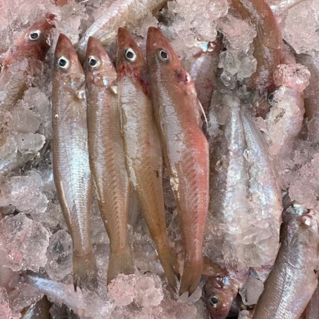 潮汕沙尖鱼  5盒省内包邮（ 9-10条左右）   包洗杀