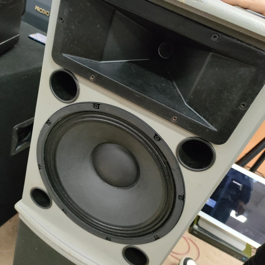 奥妙十二寸专业音箱一对，一只低音修过，成色差，不包邮