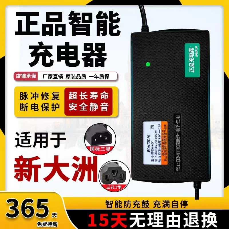 适用新大洲电动车电瓶充电器48V12AH60V20AH72V32A正品新国标公插