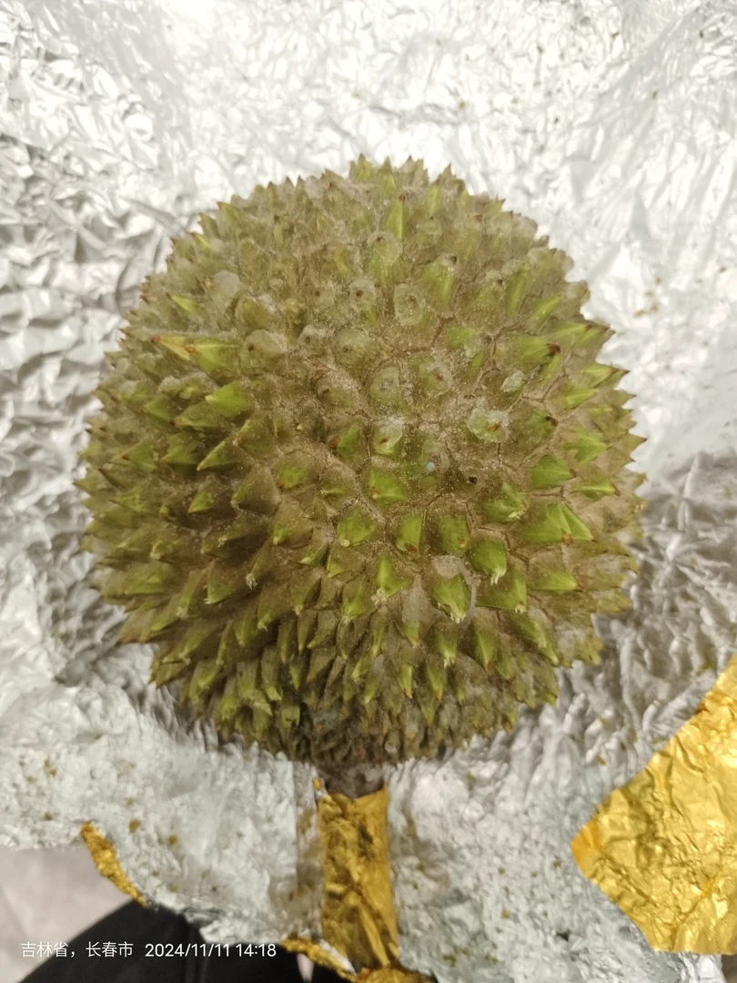［一果一拍］马来西亚AA级猫山王D197液氮冷冻