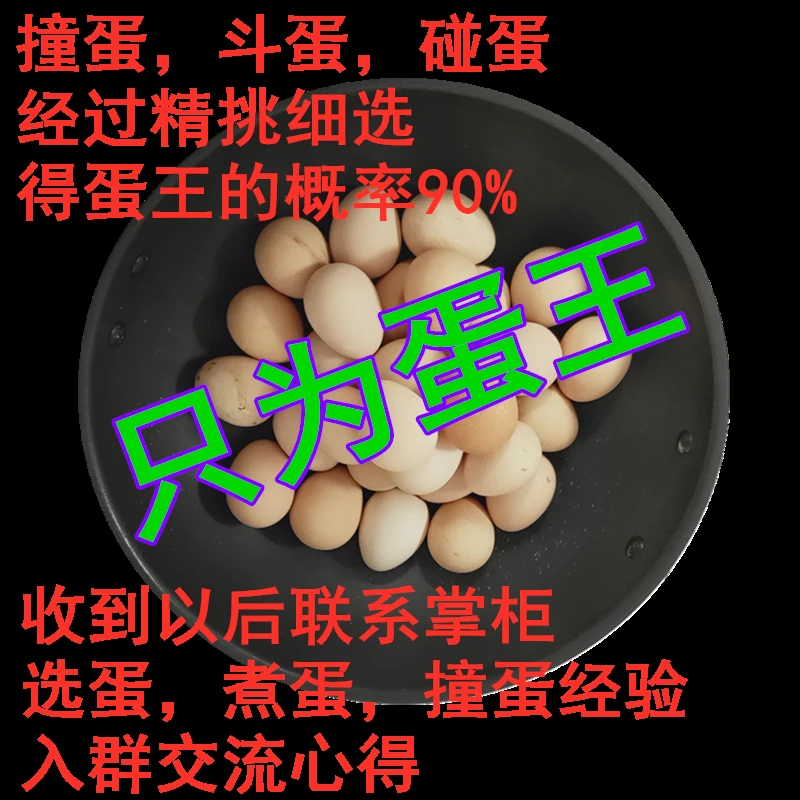 掌柜精选现货立夏撞蛋拐蛋柱蛋碰蛋斗蛋石头蛋珍珠蛋碰蛋可食用